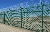 Galvanized + Polyester Powder Coated Prison Fence