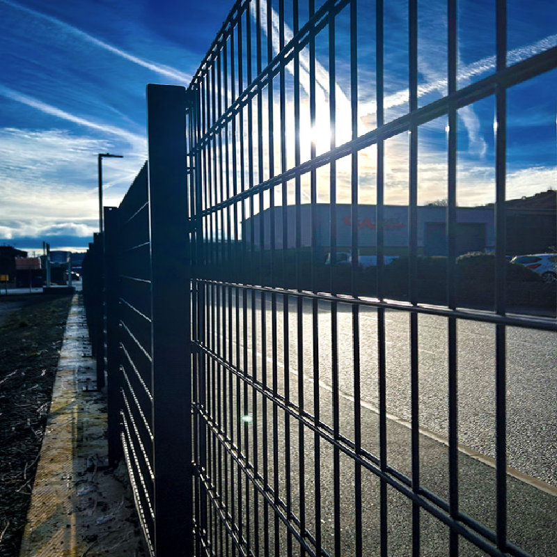 Double Wire 868 Prison Fence System 