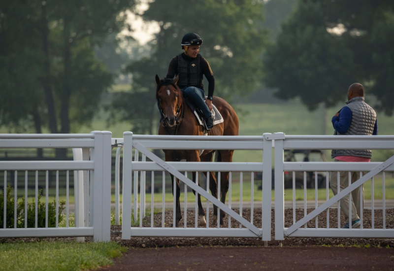 Equestrian sports stadiums