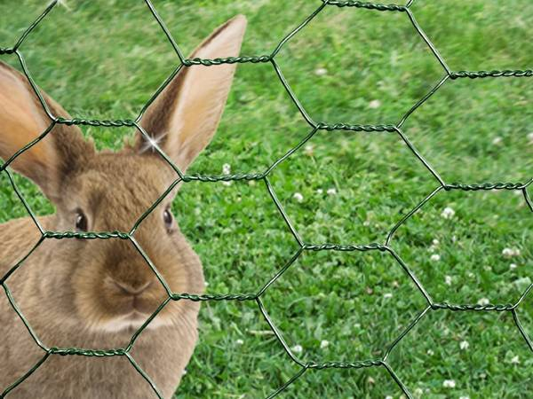 Animal & Livestock Fencing