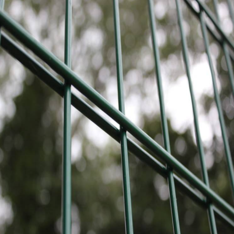Double Wire 868 Prison Fence System 