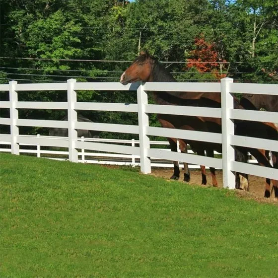 Vinyl Horse Fence
